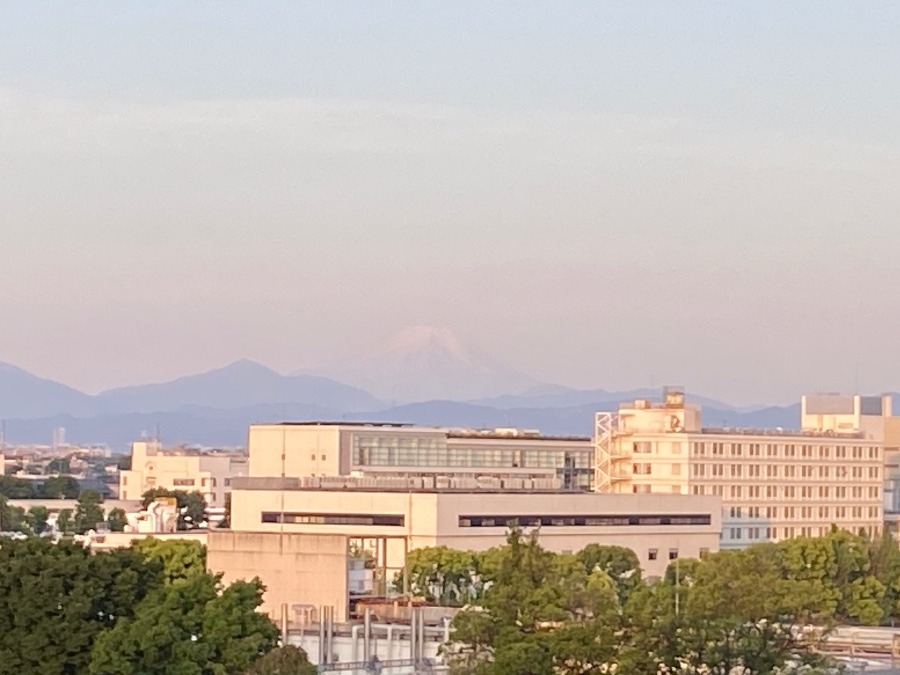 今朝の富士山