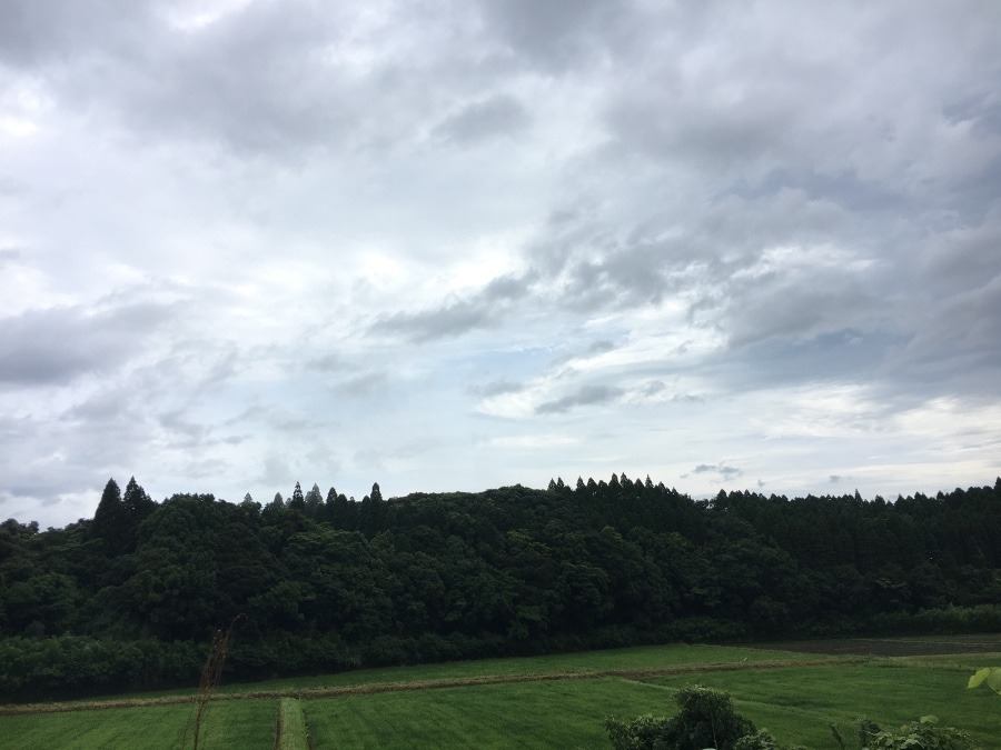 ⭕️空部→ 今日の空（≧∇≦）‼️1270.