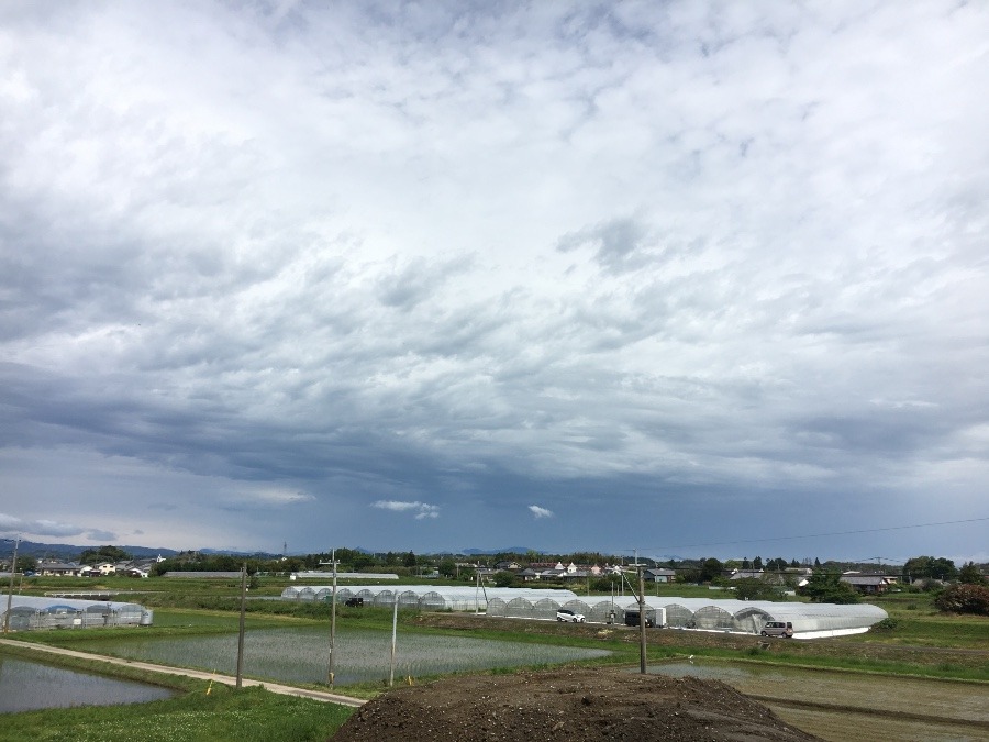 ⭕️空部→ 今日の空（≧∇≦）‼️1230.