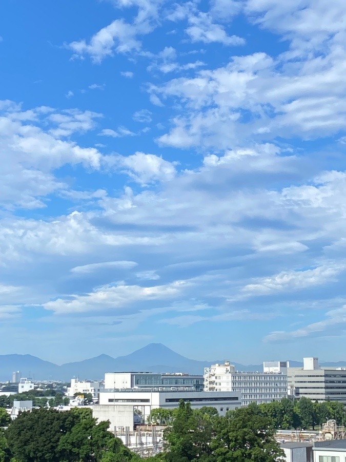 今朝の富士山