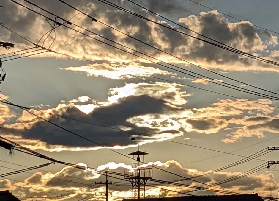 6月21日夏至ですね