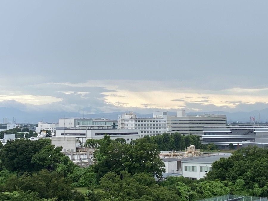 今日の富士山