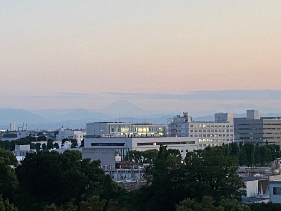 夕方の富士山