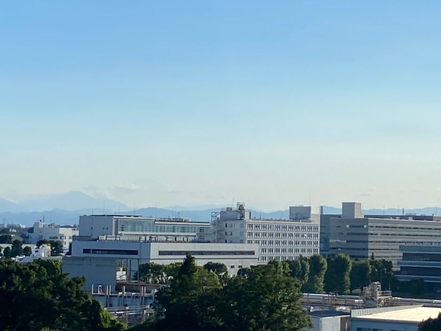 この時間の富士山