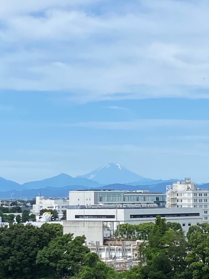 富士山