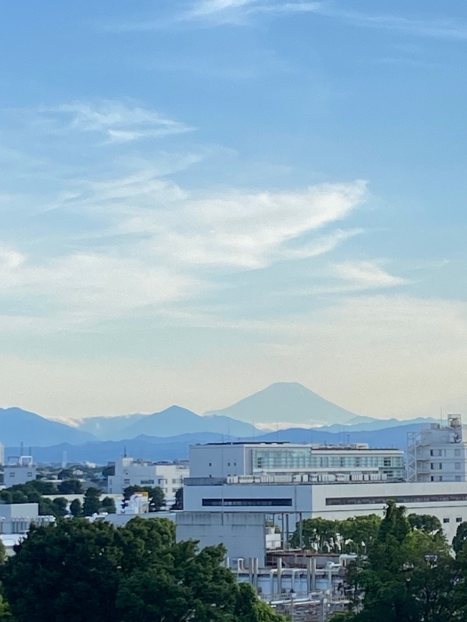 昨日の夕方の富士山