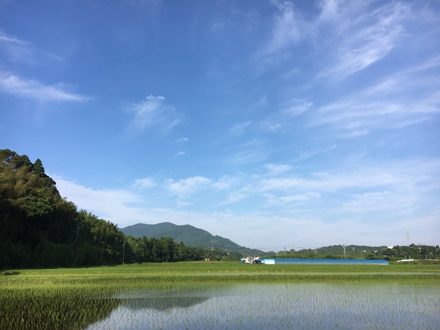 ⭕️空部→ 今日の空（≧∇≦）‼️1282.