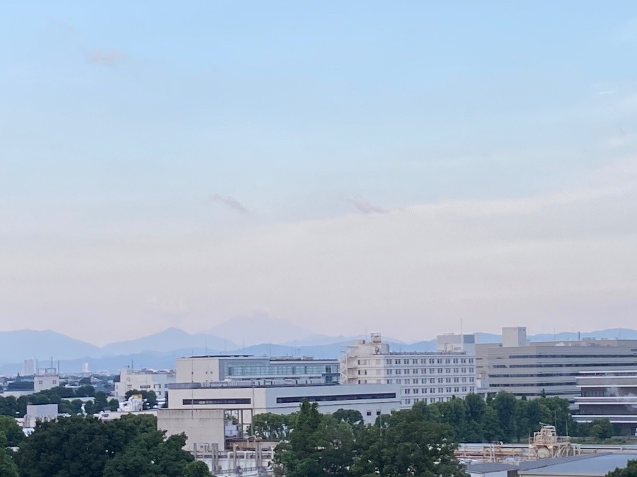 今朝の富士山