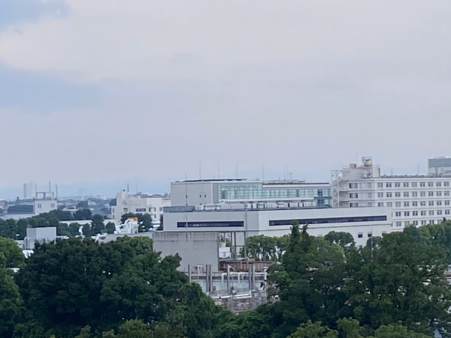 今朝の富士山