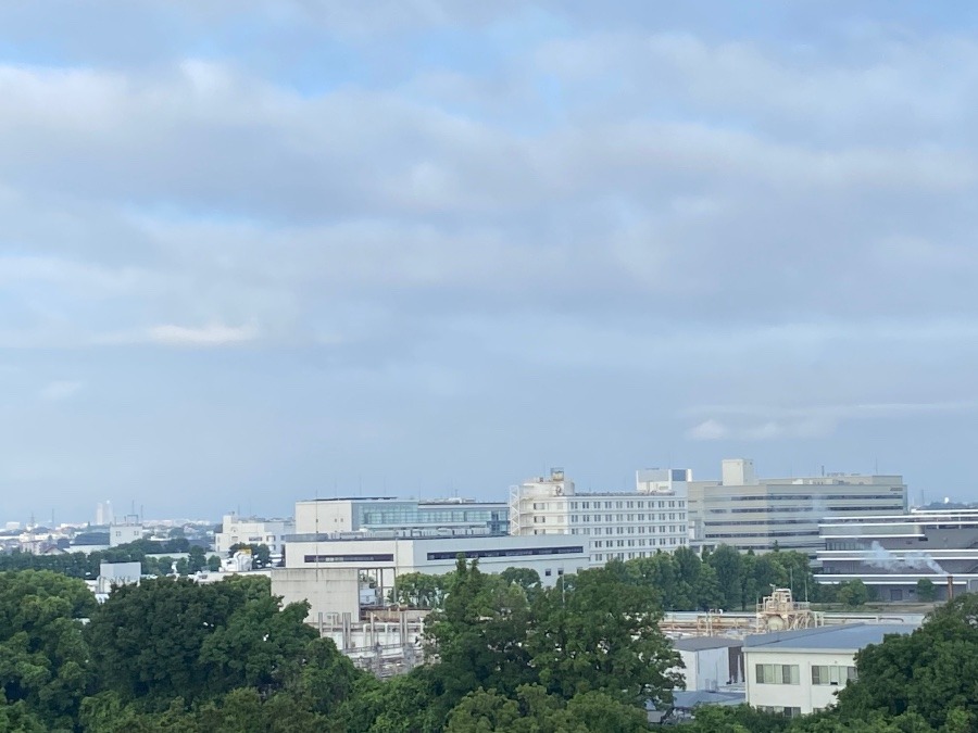 今朝の富士山