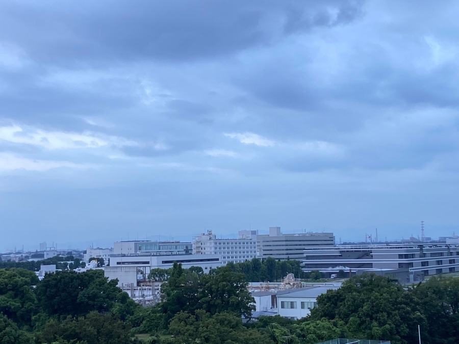 今朝の富士山