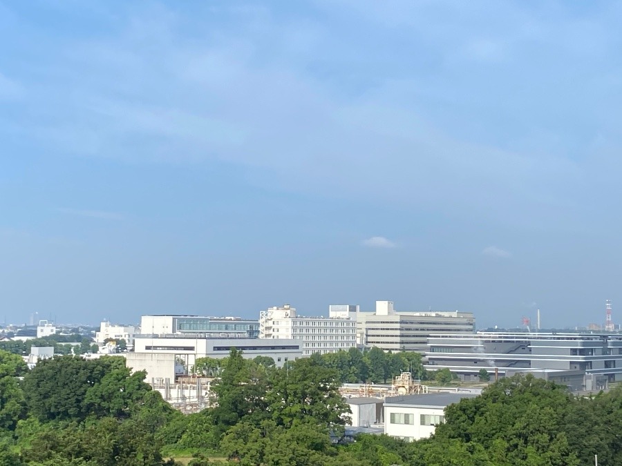 今朝の富士山