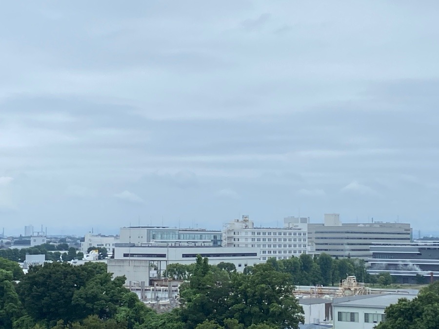 今朝の富士山