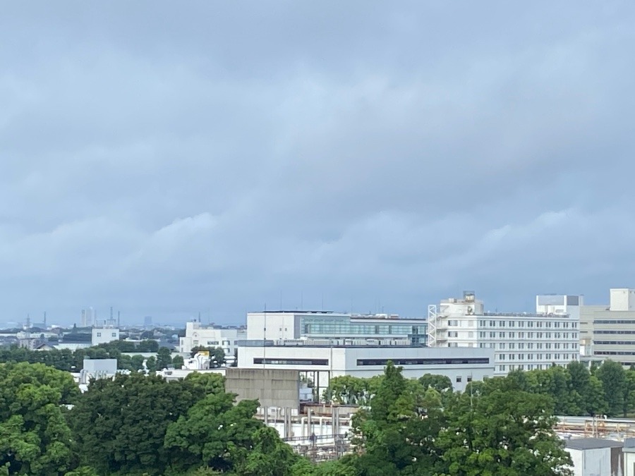 今朝の富士山