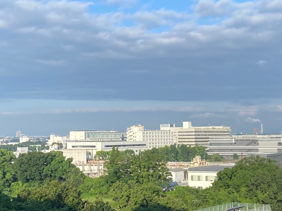 今朝の富士山