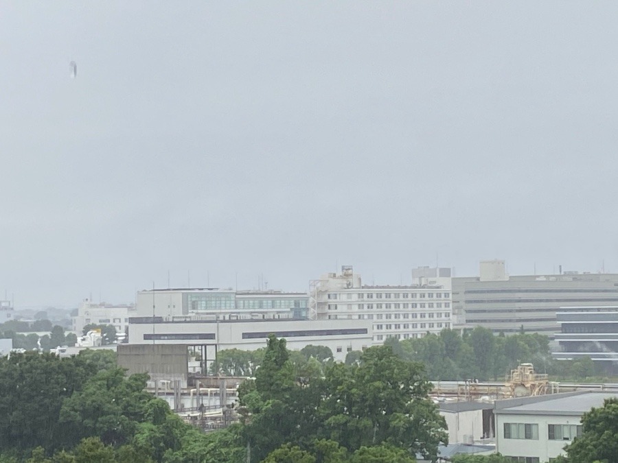 今朝の富士山は、雨の中の富士山