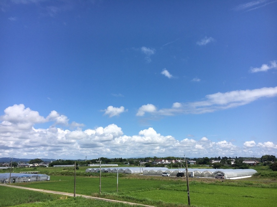 ⭕️空部→ 今日の空（≧∇≦）‼️1301.