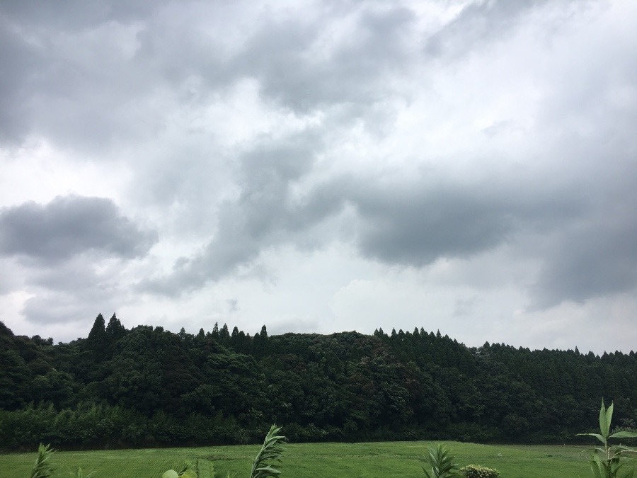 ⭕️空部→ 今日の空（≧∇≦）‼️1314.