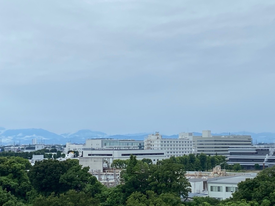 今朝の富士山