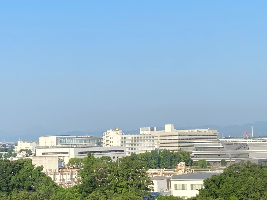 今朝の富士山