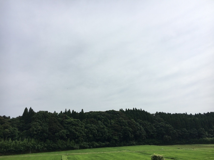 ⭕️空部→ 今日の空（≧∇≦）‼️1318.