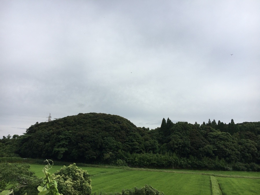 ⭕️空部→ 今日の空（≧∇≦）‼️1295.