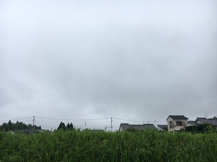 ⭕️空部→ 今日の空（≧∇≦）‼️1305.