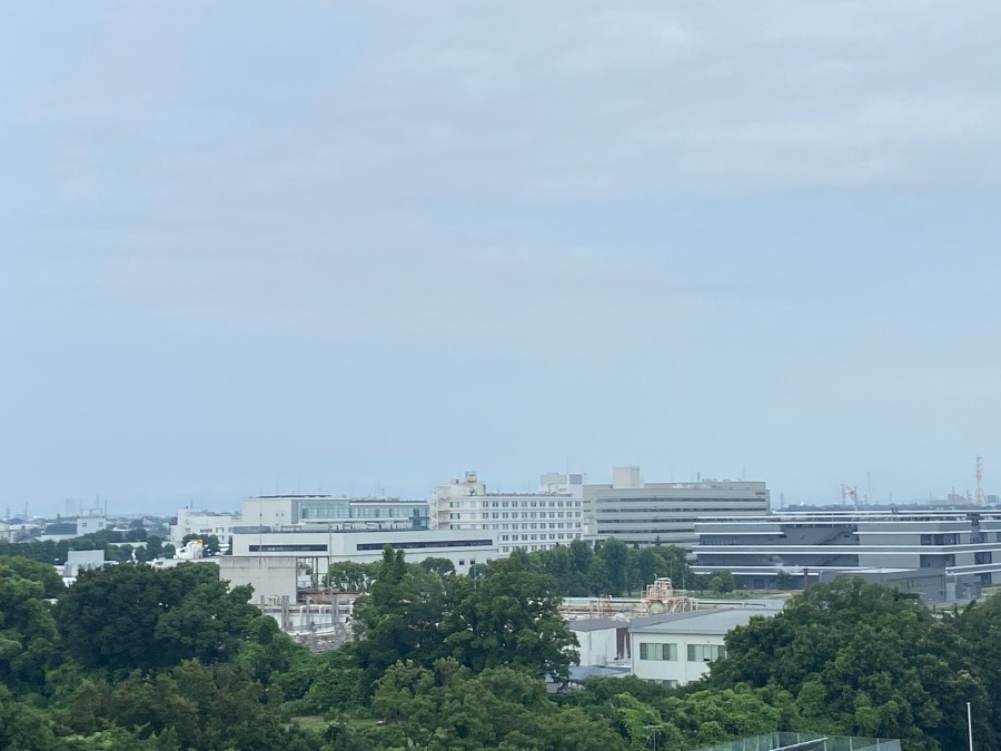 今朝の富士山