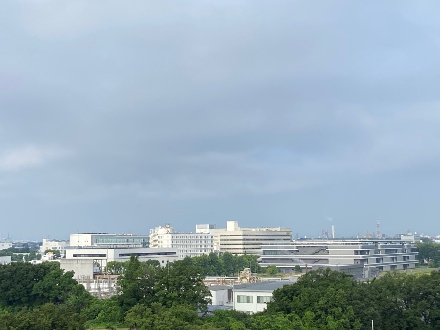 今朝の富士山