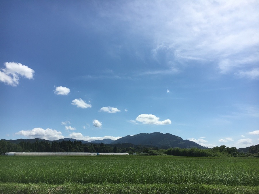 ⭕️空部→ 今日の空（≧∇≦）‼️1310.