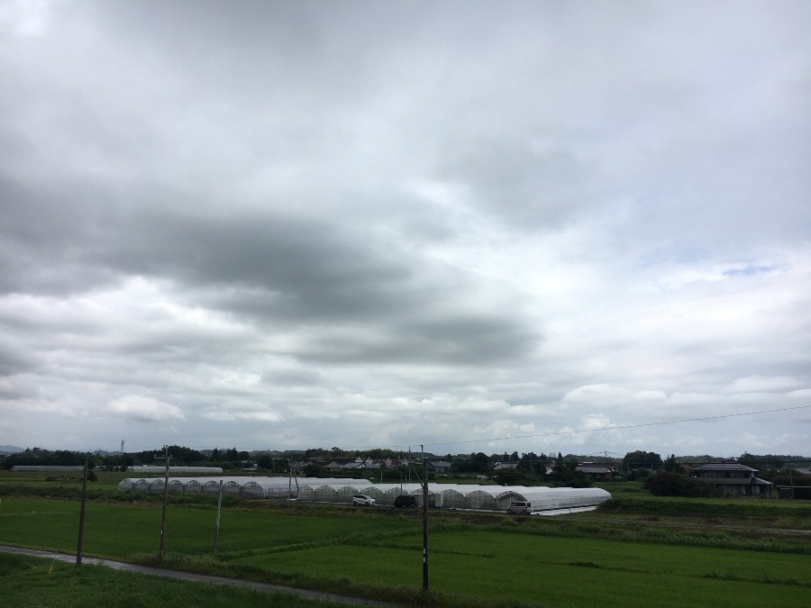 ⭕️空部→ 今日の空（≧∇≦）‼️1290.