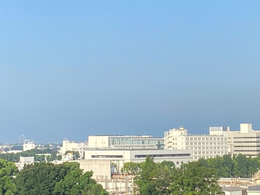 今朝の富士山