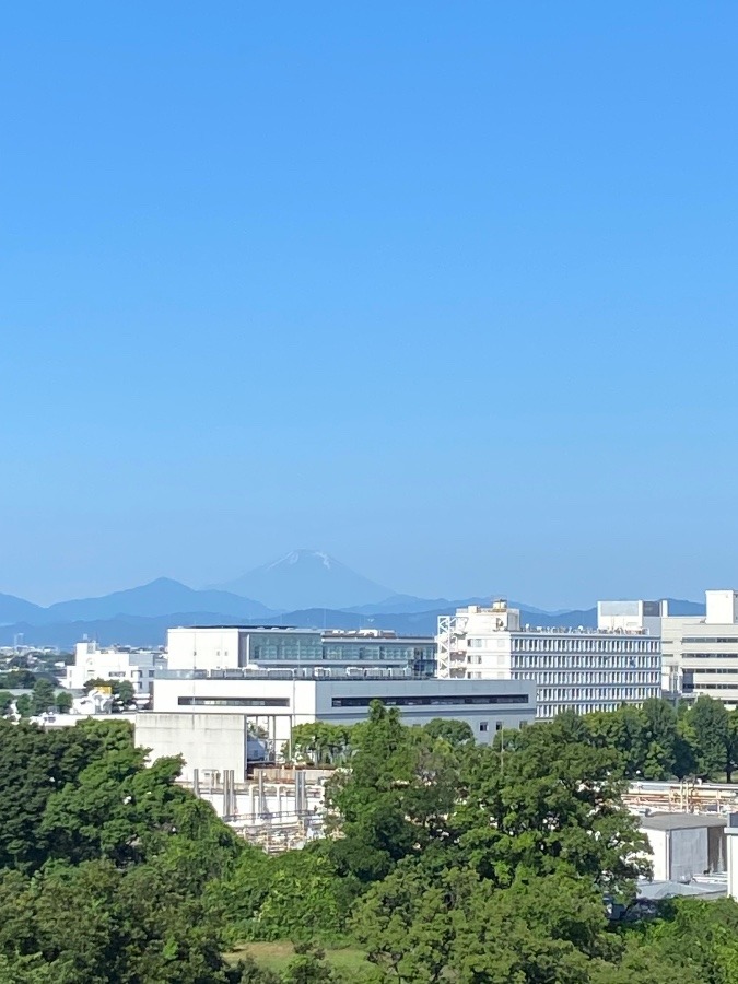 今朝の富士山