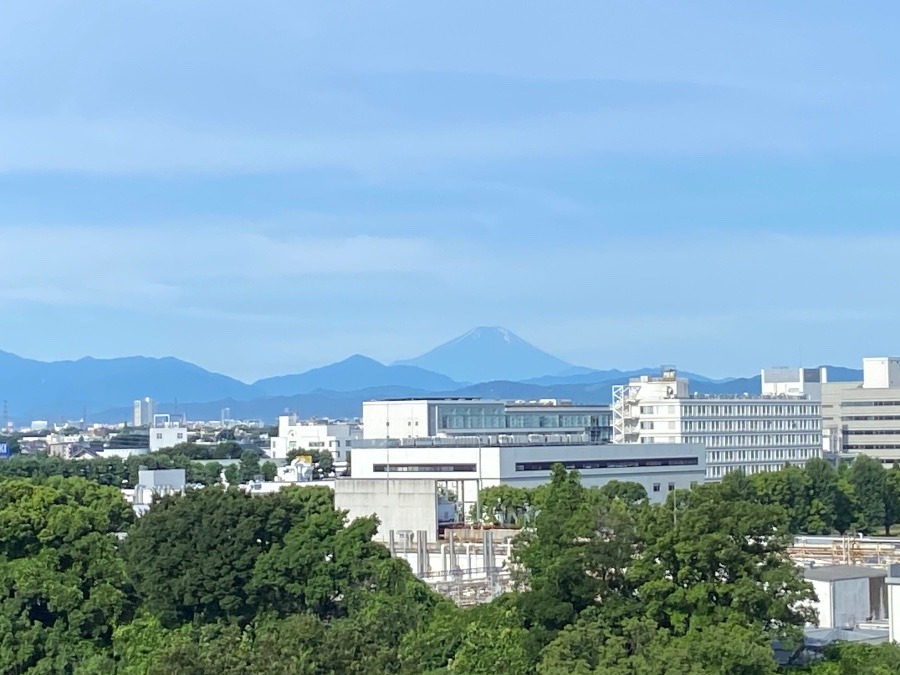 今朝の富士山