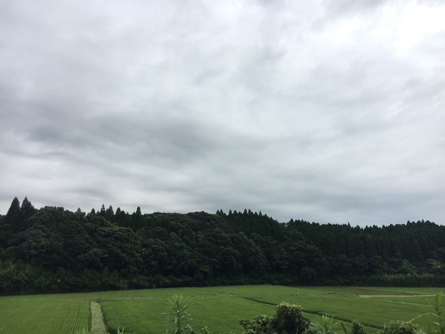 ⭕️空部→ 今日の空（≧∇≦）‼️1324.