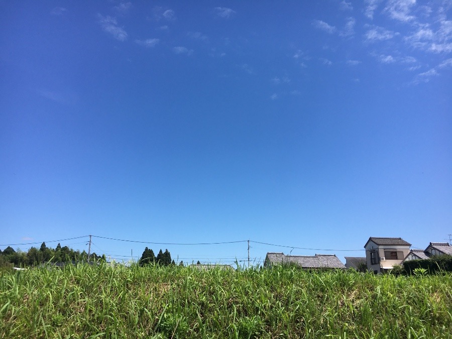 ⭕️空部→ 今日の空（≧∇≦）‼️1299.