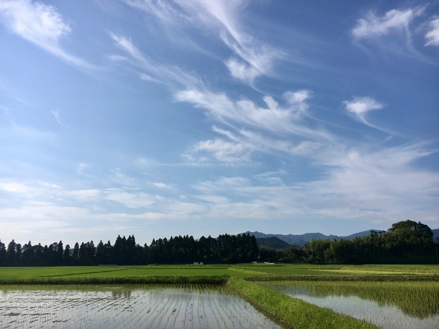 ⭕️空部→ 今日の空（≧∇≦）‼️1284.