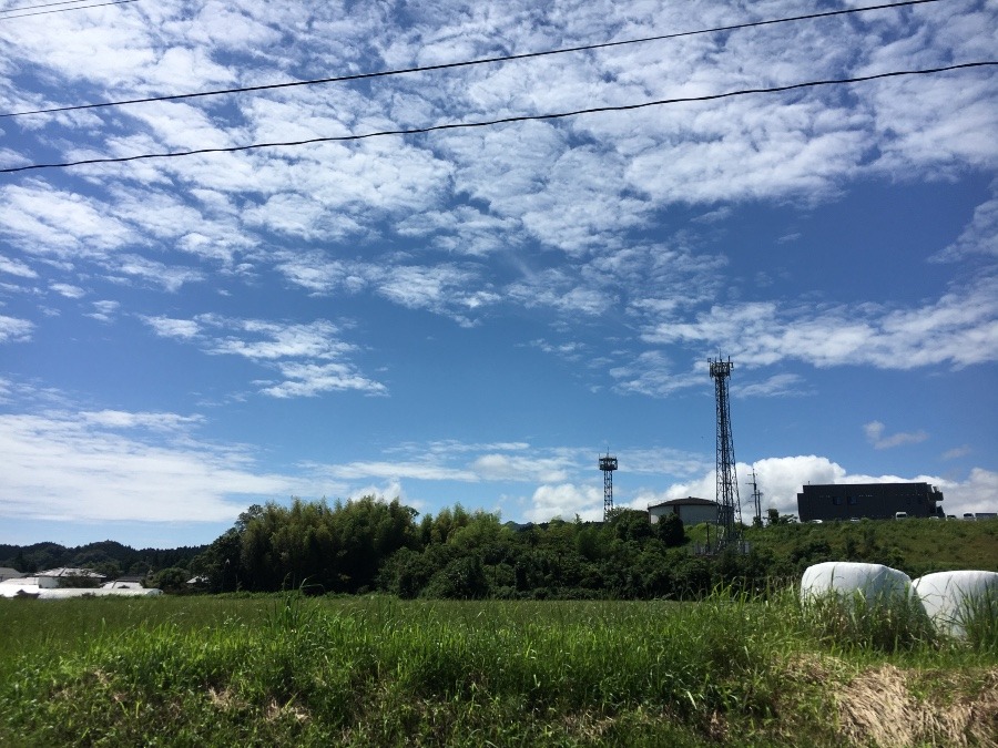 ⭕️空部→ 今日の空（≧∇≦）‼️1337.