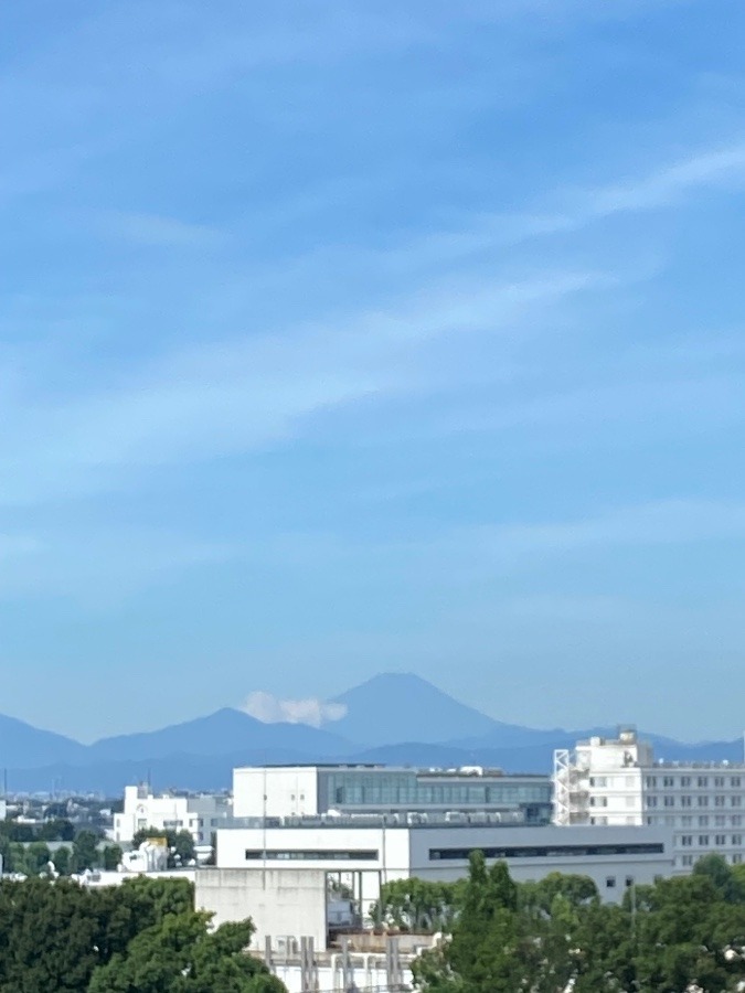 今朝の富士山