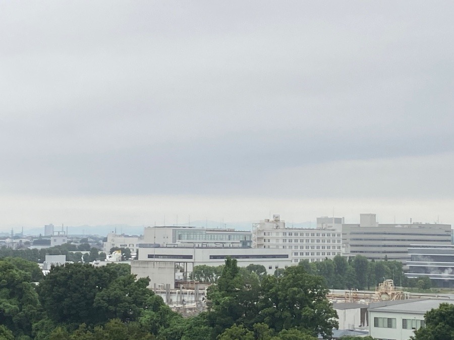 今朝の富士山