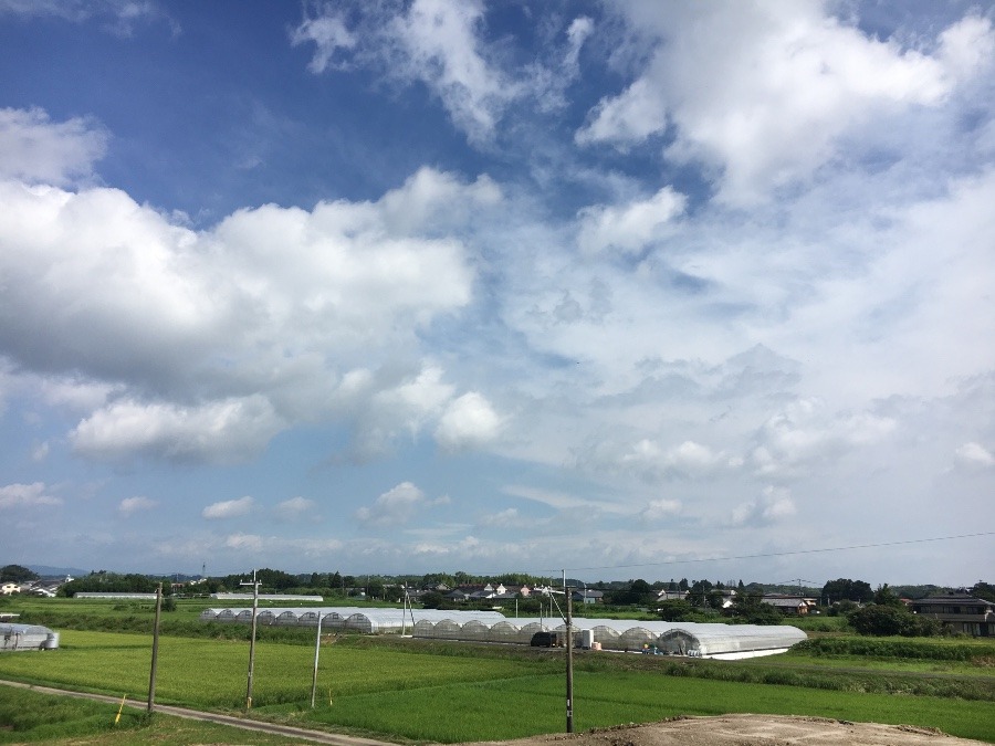 ⭕️空部→ 今日の空（≧∇≦）‼️1330.