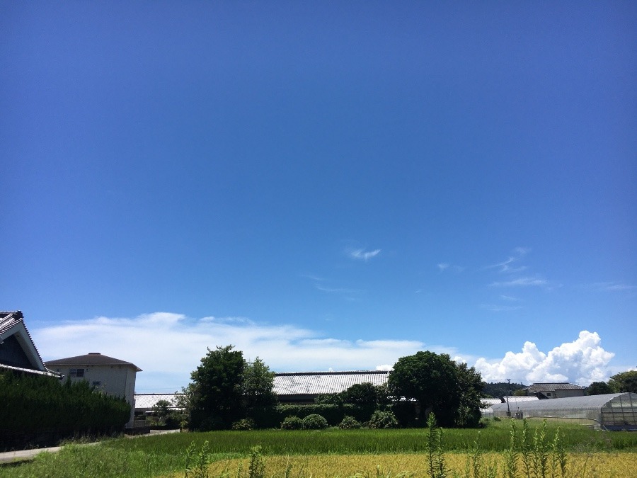 ⭕️空部→ 今日の空（≧∇≦）‼️1418.