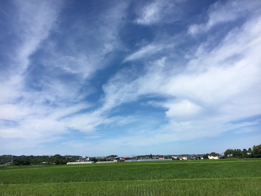 ⭕️空部→ 今日の空（≧∇≦）‼️1331.