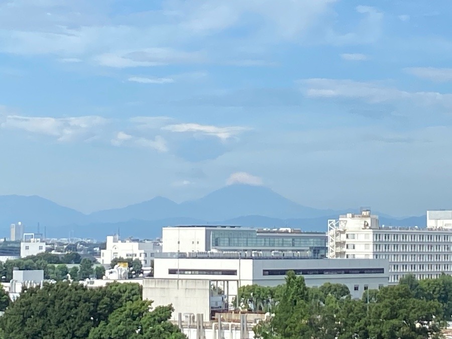 今朝の富士山