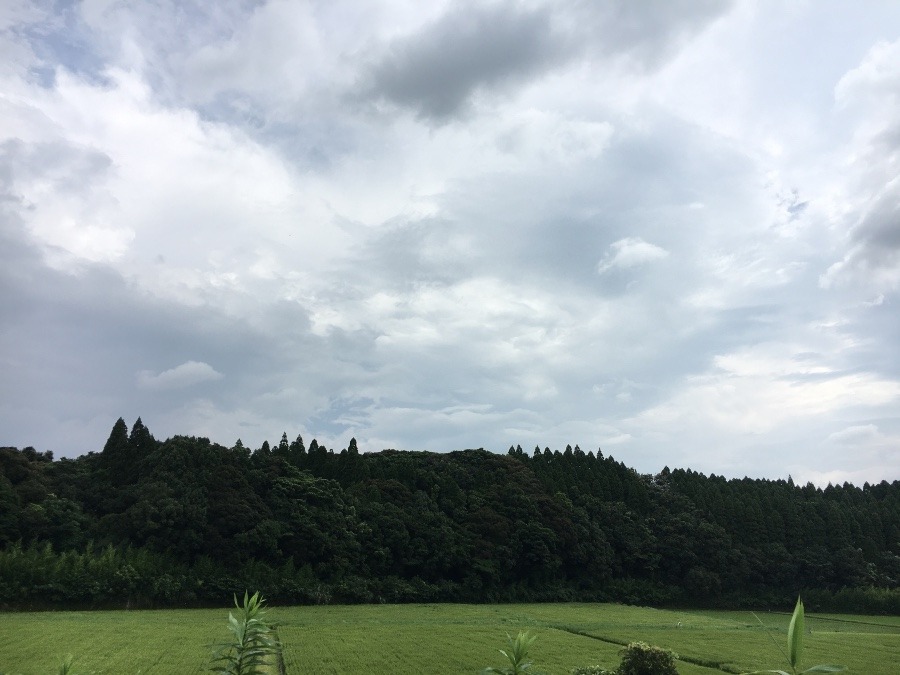 ⭕️空部→ 今日の空（≧∇≦）‼️1328.