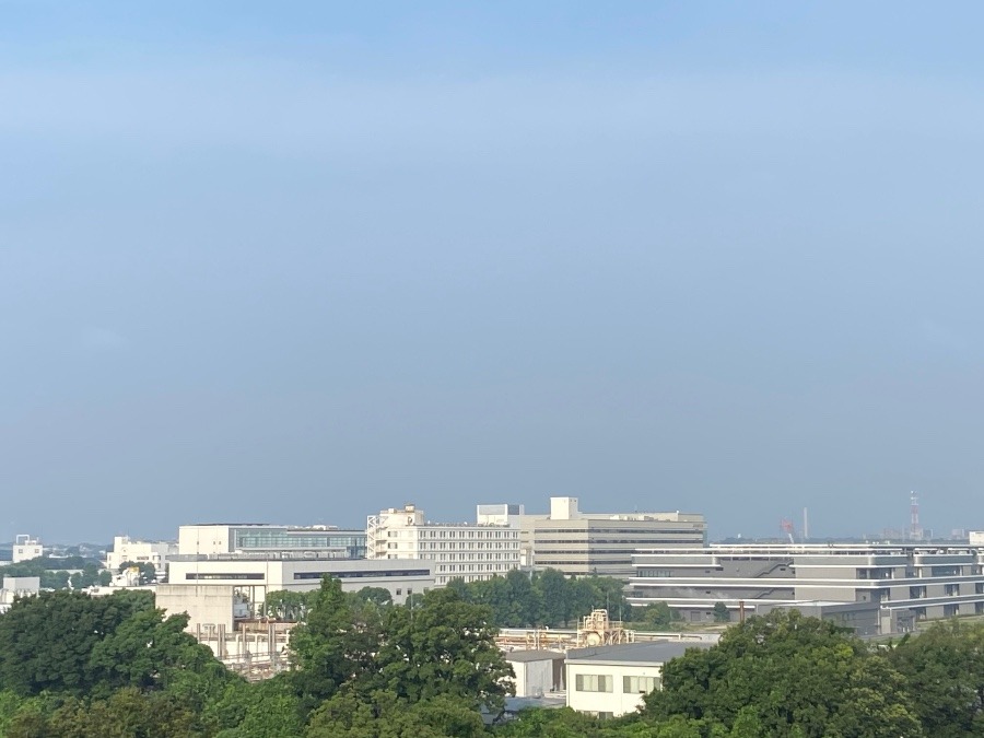 今朝の富士山