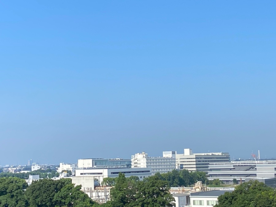 今朝の富士山