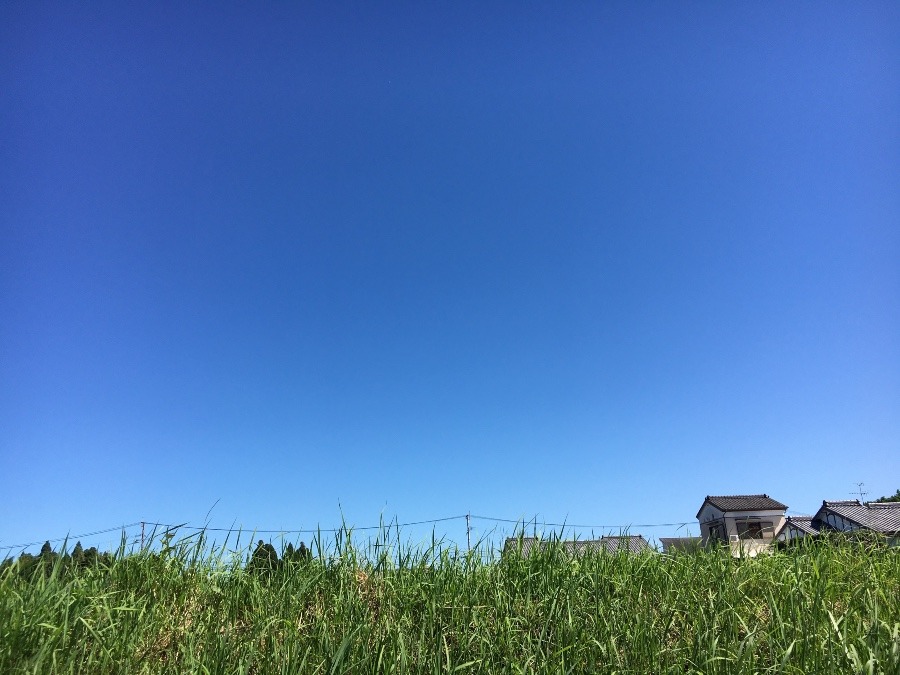 ⭕️空部→ 今日の空（≧∇≦）‼️1420.