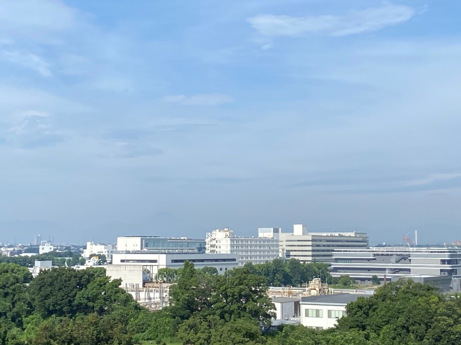 今朝の富士山