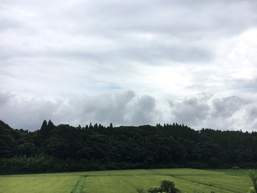 ⭕️空部→ 今日の空（≧∇≦）‼️1347.